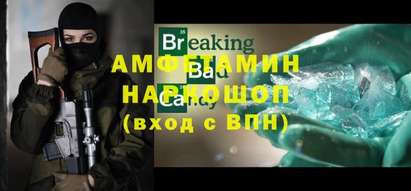 индика Домодедово