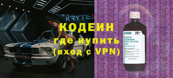 индика Домодедово